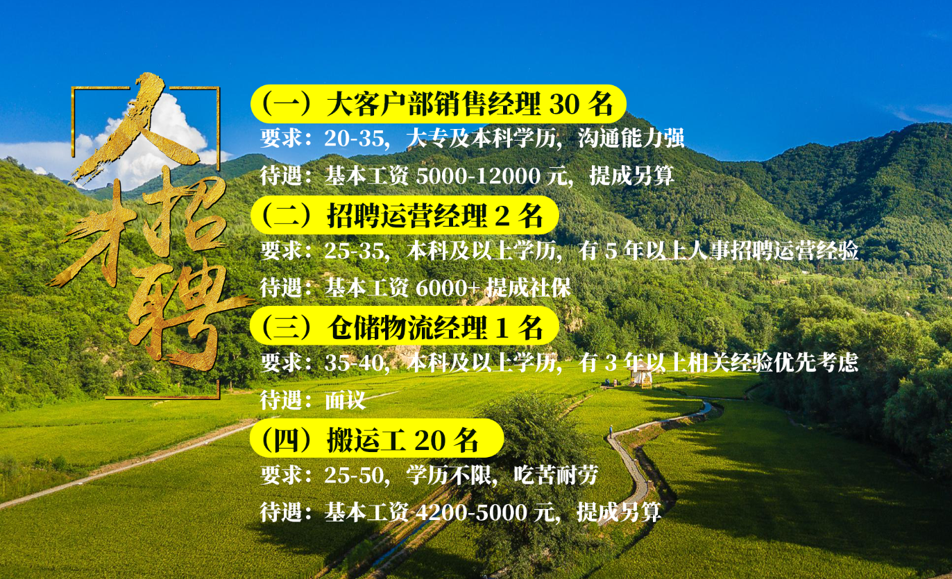 招聘图片
